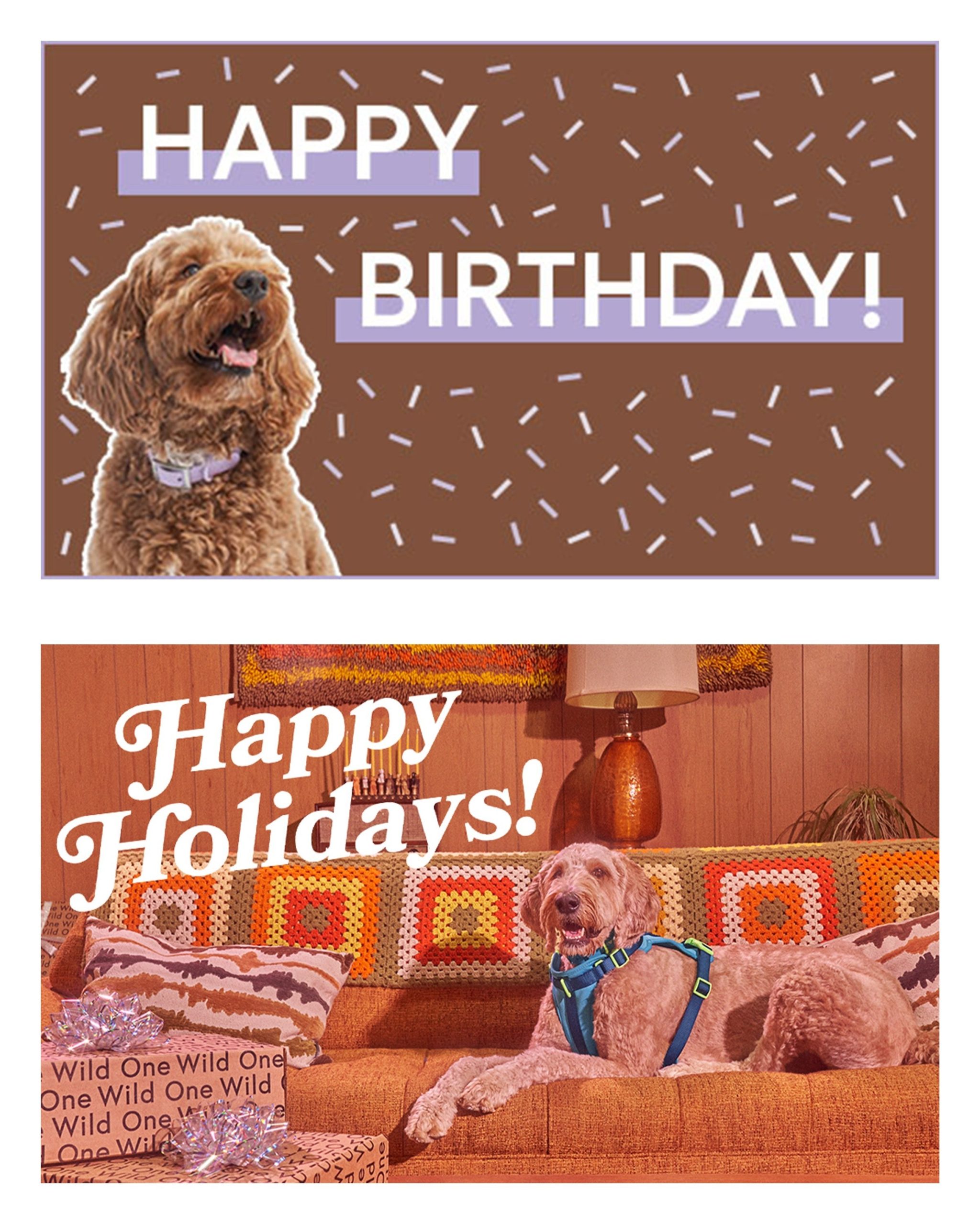 Gift Card - Image 3