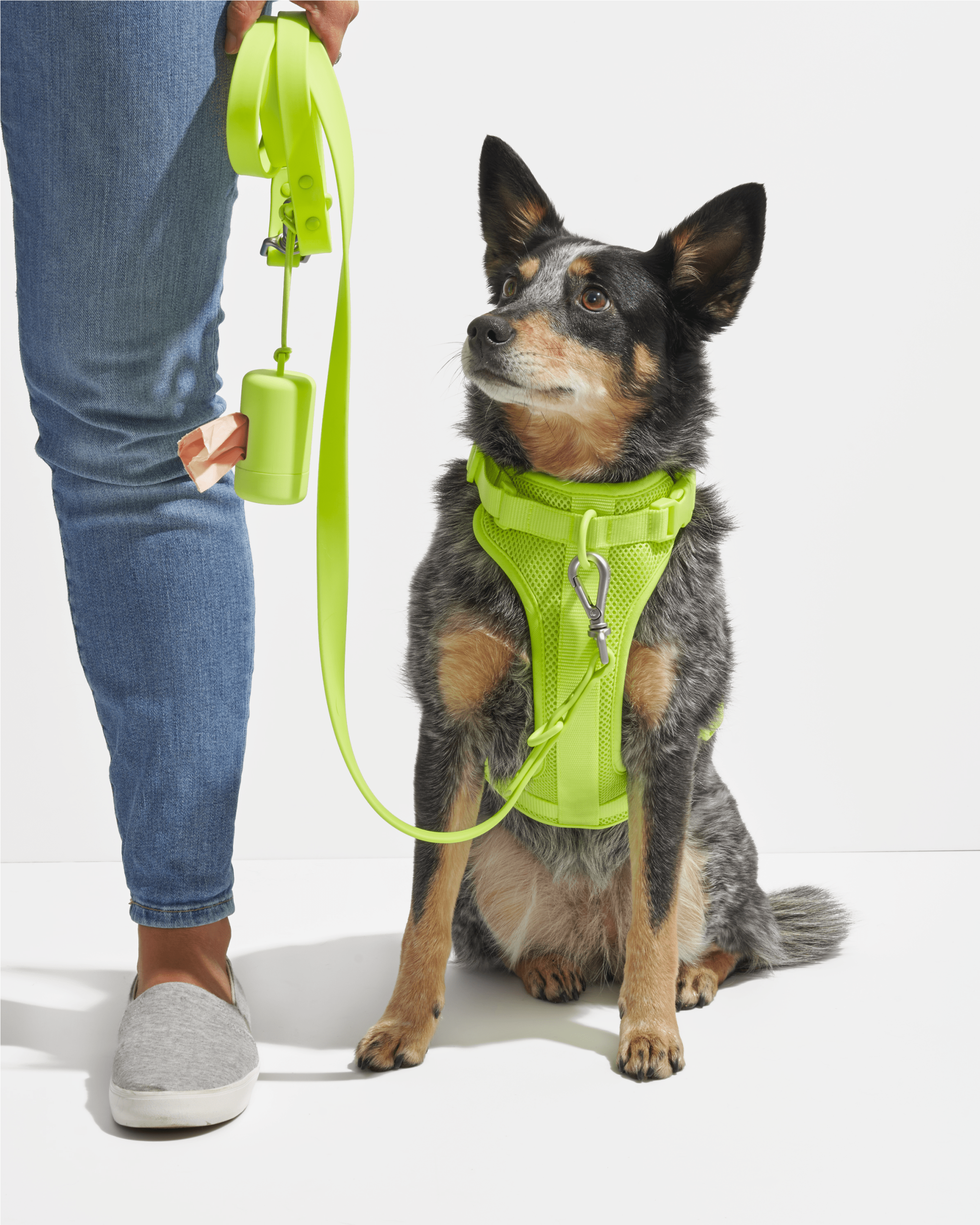 Waterproof Dog Leash - Image 28