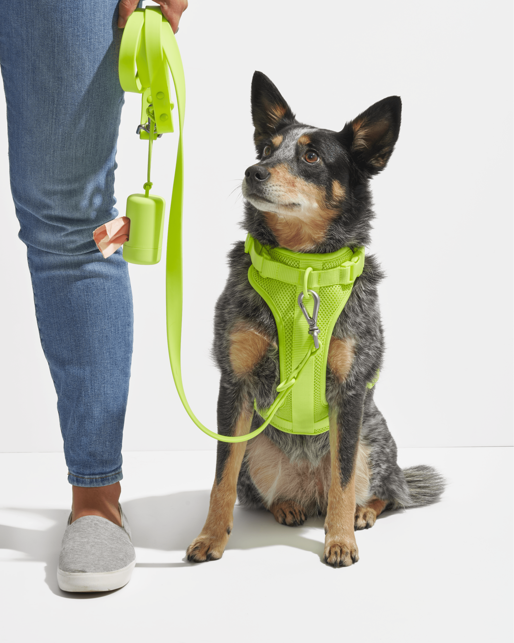 Poop Bag Carrier - Image 30