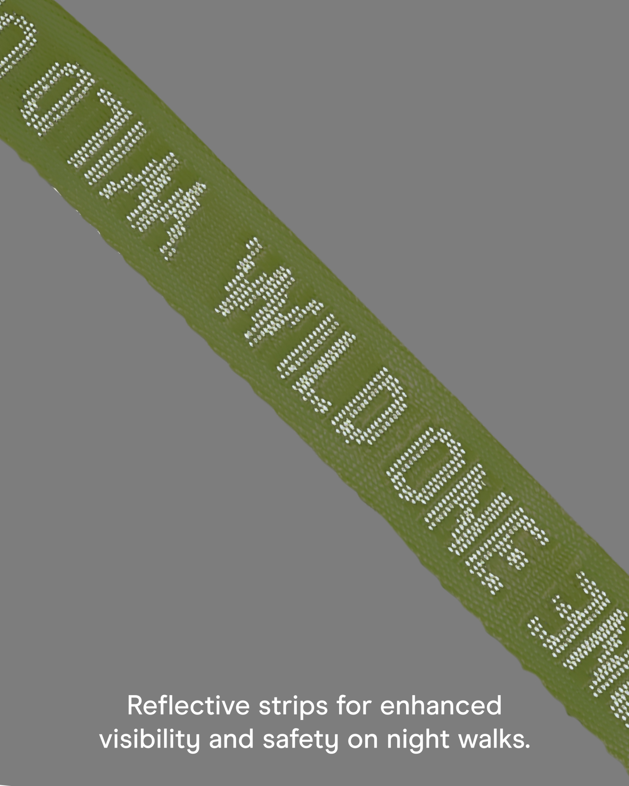 Quick-Release Dog Collar - Image 15