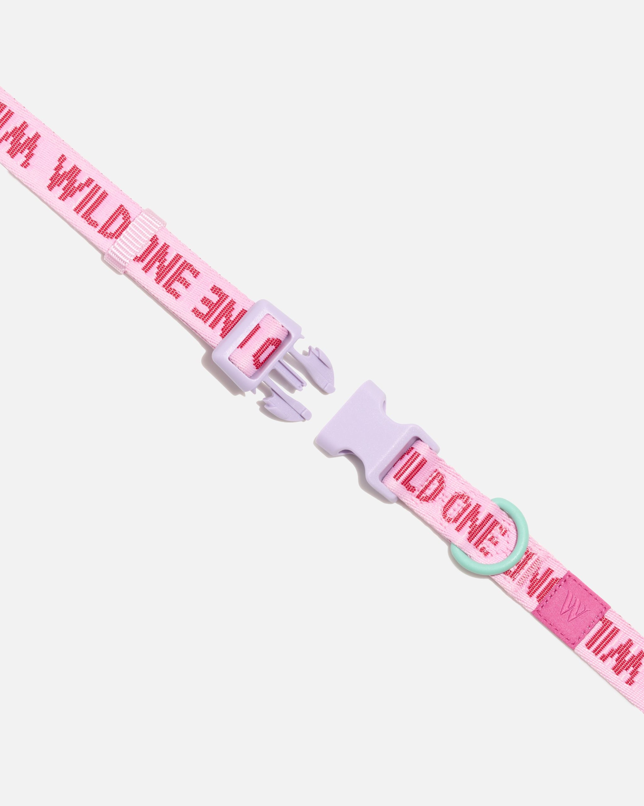 Quick-Release Dog Collar - Image 26