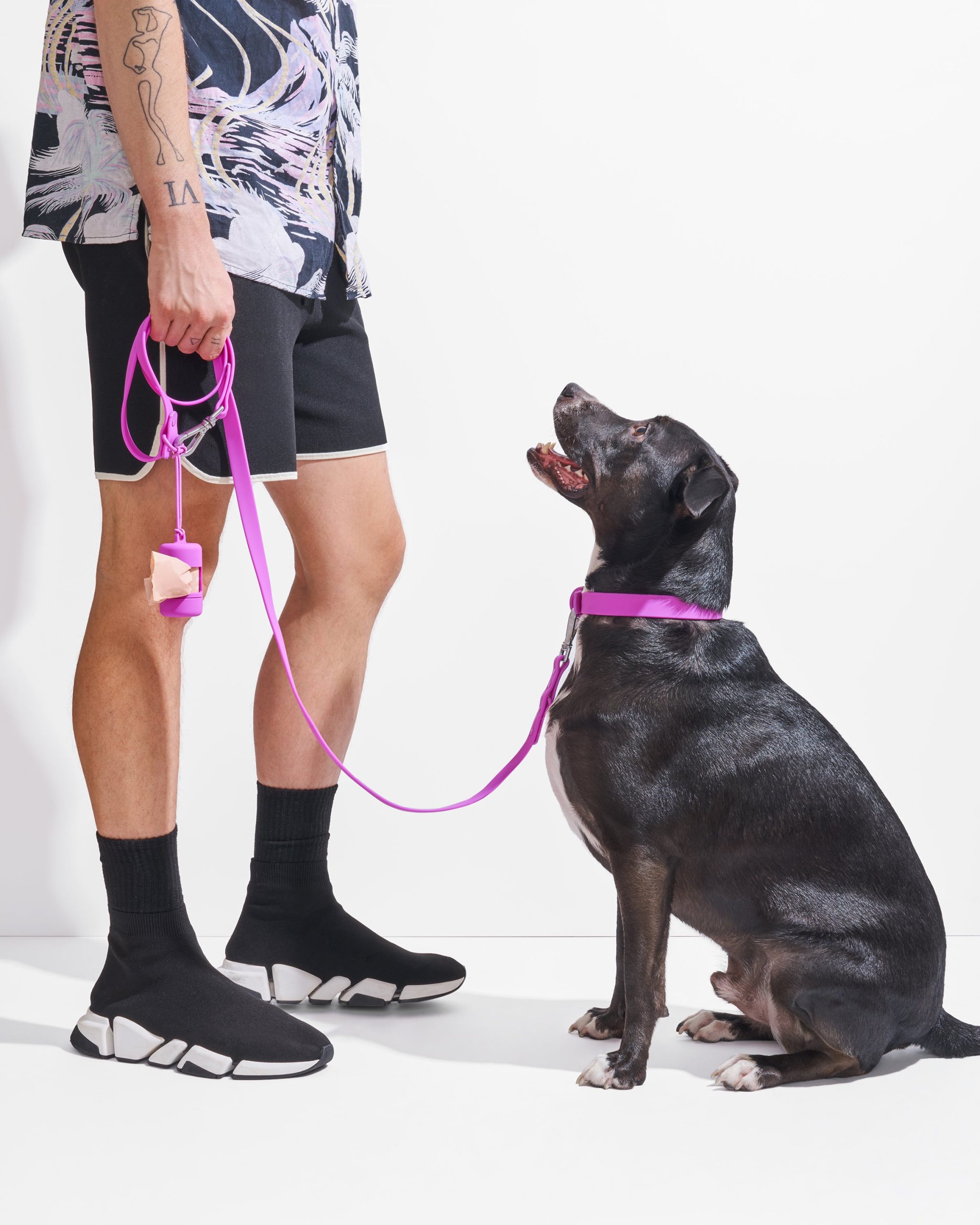 Waterproof Dog Collar - Image 23