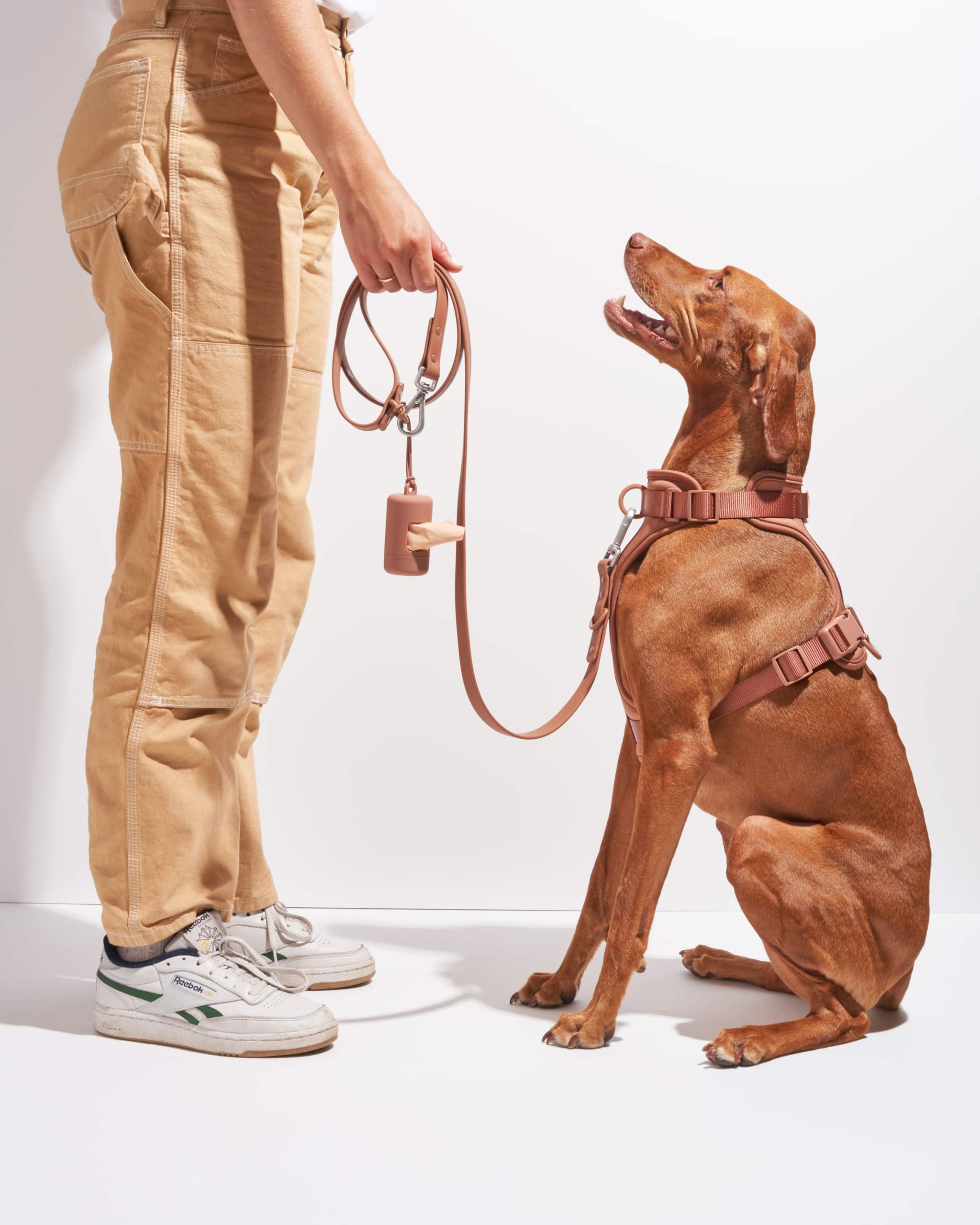 Waterproof Dog Leash - Image 2