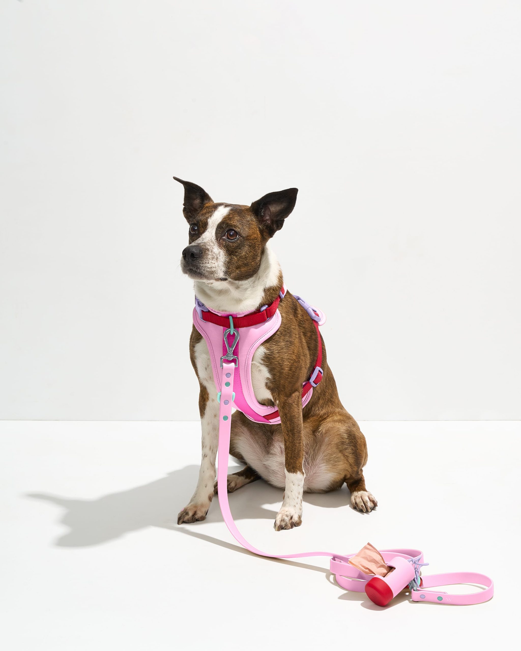 Waterproof Dog Leash - Image 4