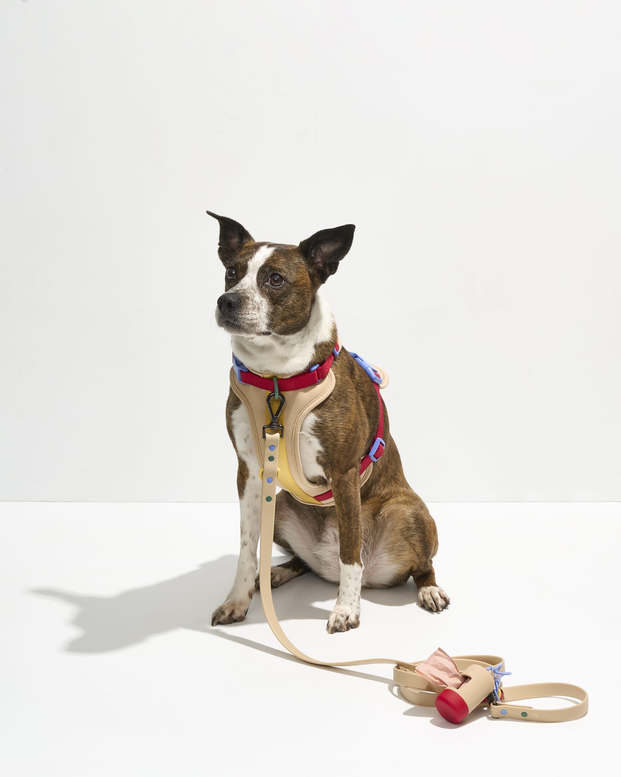 Waterproof Dog Leash - Image 6