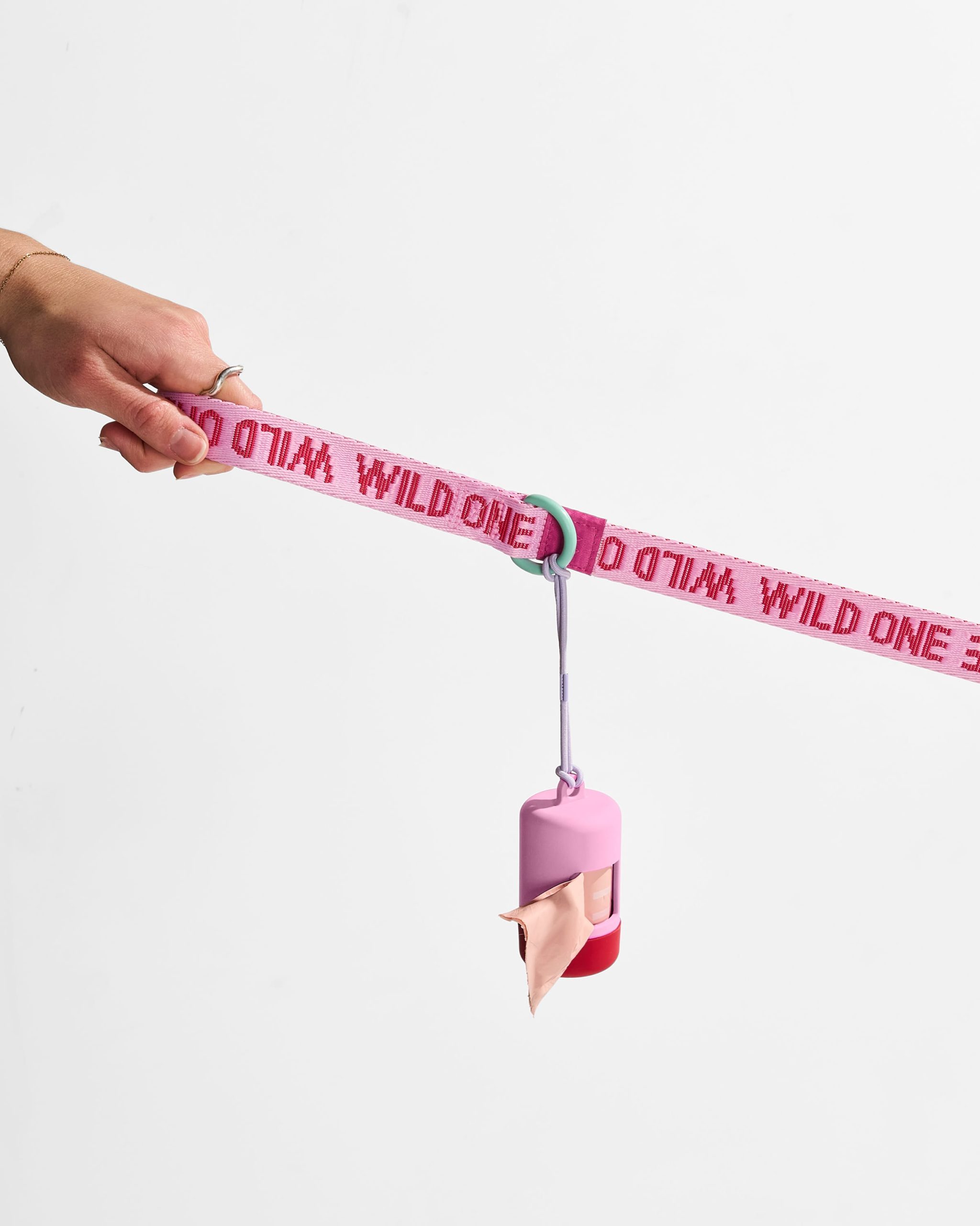 Cushioned Harness + Lightweight Leash Walk Kit - Image 4